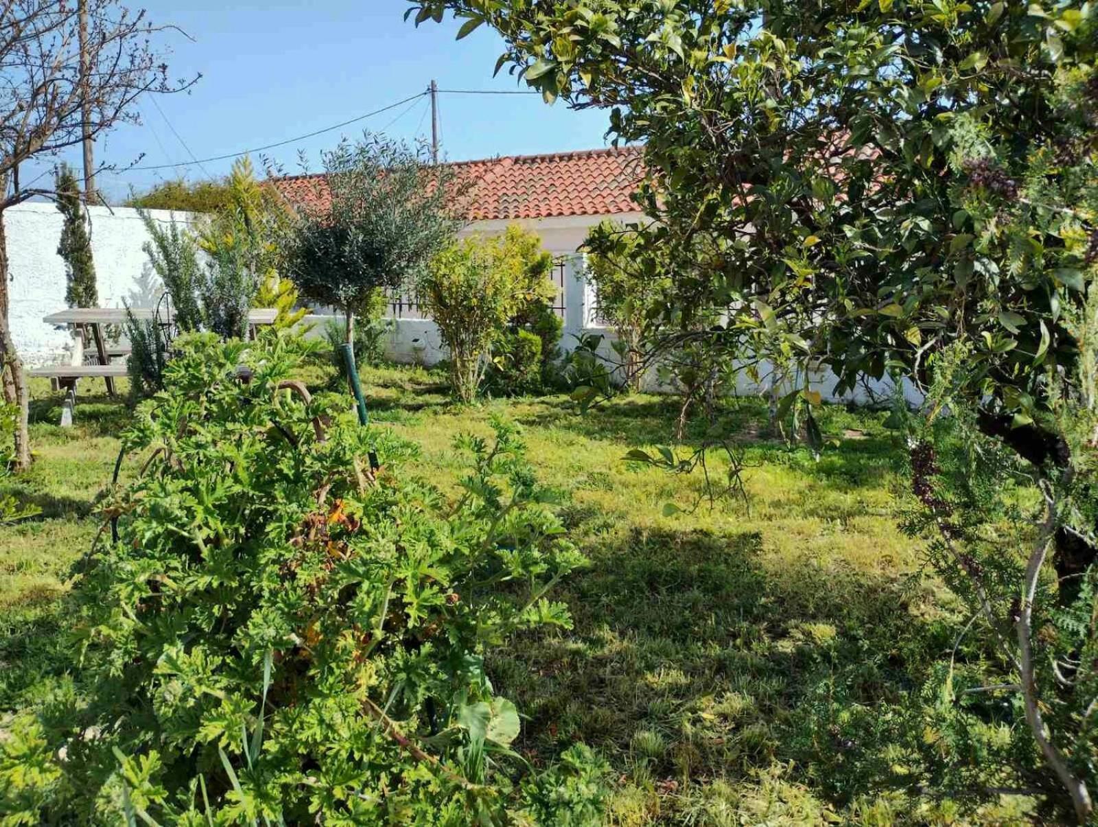 Nafplio Cottage-Grandma'S Yard Asíni Exterior foto